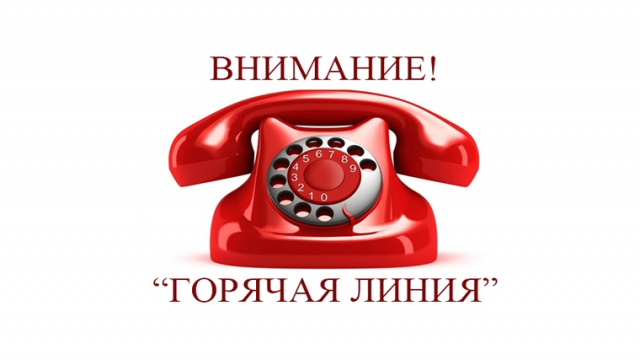 Горячая линия